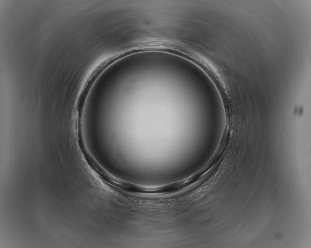 X0000096181472200801181301