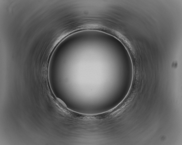 X0000096181473200801181301