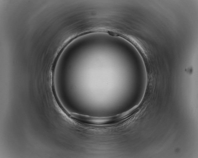 X0000096181476200801181301
