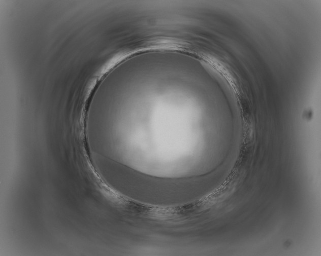 X0000096181477200801181301