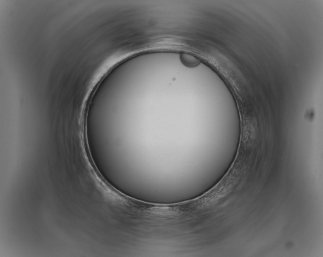 X0000096181478200801181301