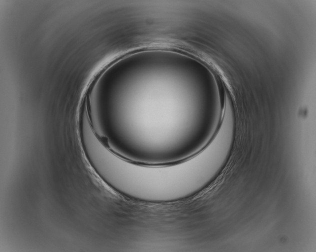 X0000096181480200801181301