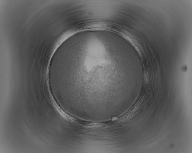 X0000096181482200801181301