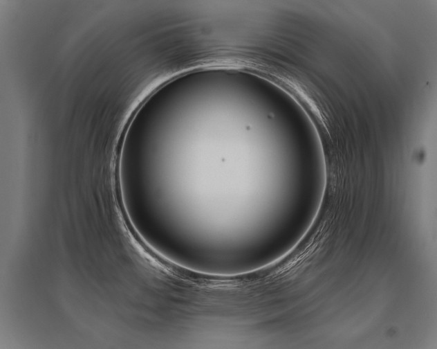 X0000096181484200801181301
