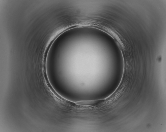 X0000096181485200801181301