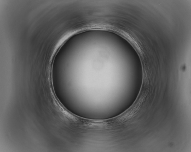 X0000096181486200801181301
