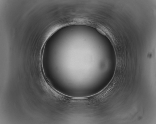 X0000096181487200801181301