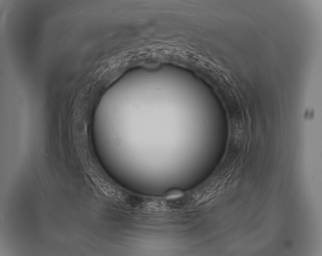 X0000096181489200801181300