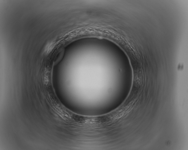 X0000096181490200801181300