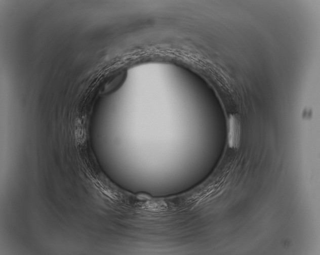 X0000096181491200801181300