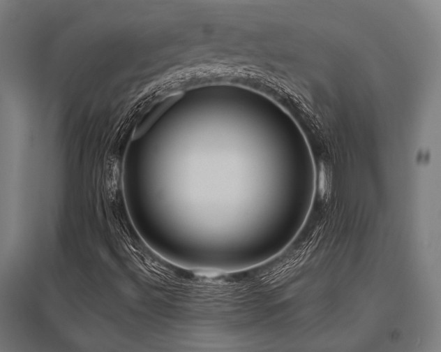 X0000096181492200801181300