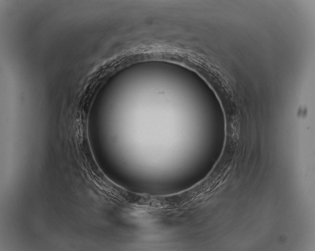 X0000096181493200801181300