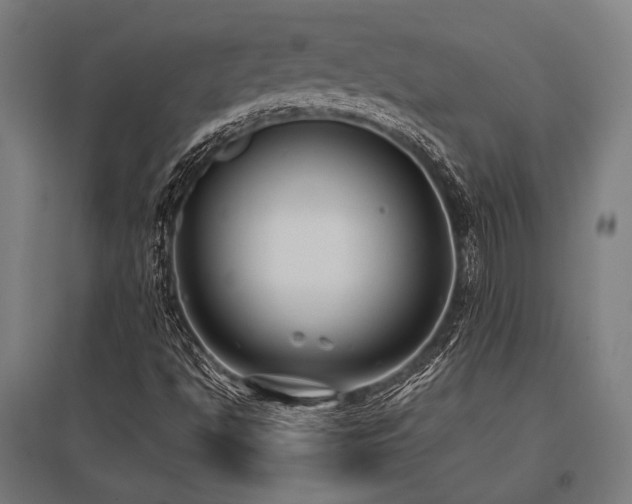 X0000096181494200801181300