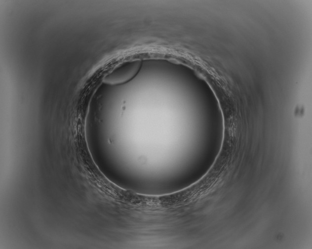 X0000096181495200801181300