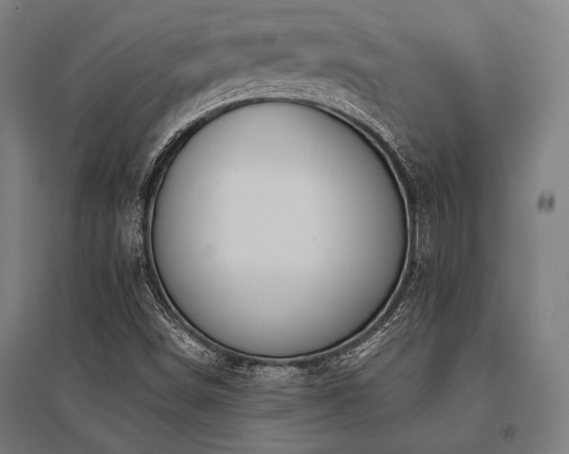 X0000096181498200801181301