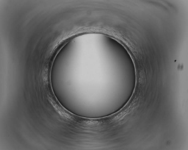 X0000096181499200801181301