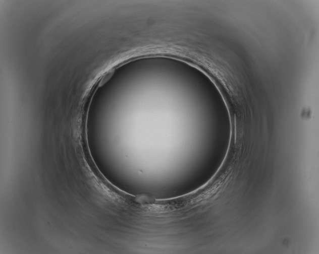 X0000096181500200801181301