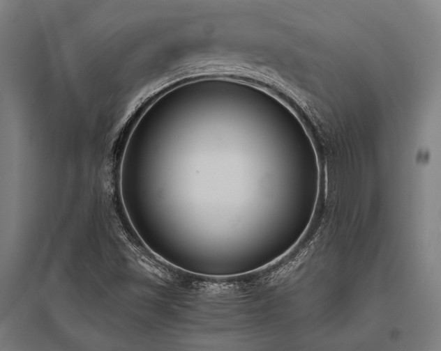 X0000096181501200801181301