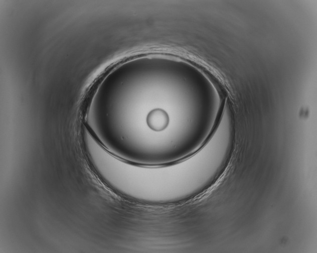 X0000096181502200801181301