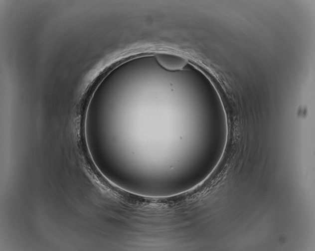 X0000096181503200801181301