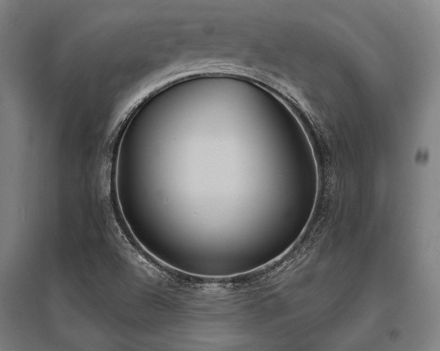X0000096181504200801181301