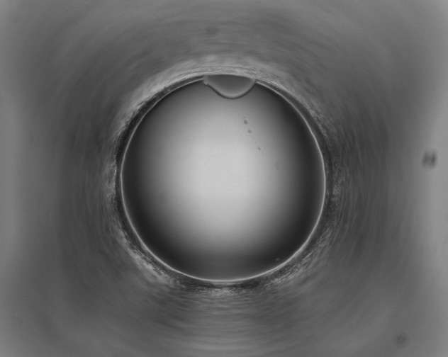 X0000096181507200801181301