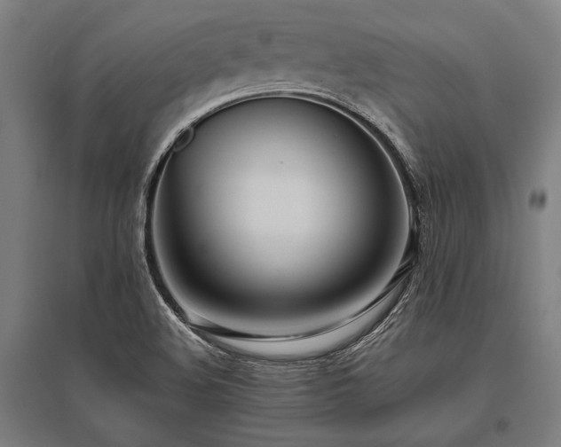 X0000096181508200801181301
