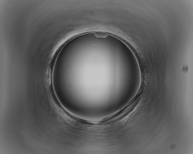 X0000096181510200801181301