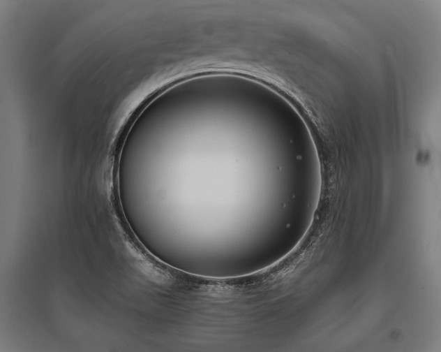 X0000096181511200801181301