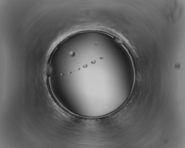 X0000096181512200801181301