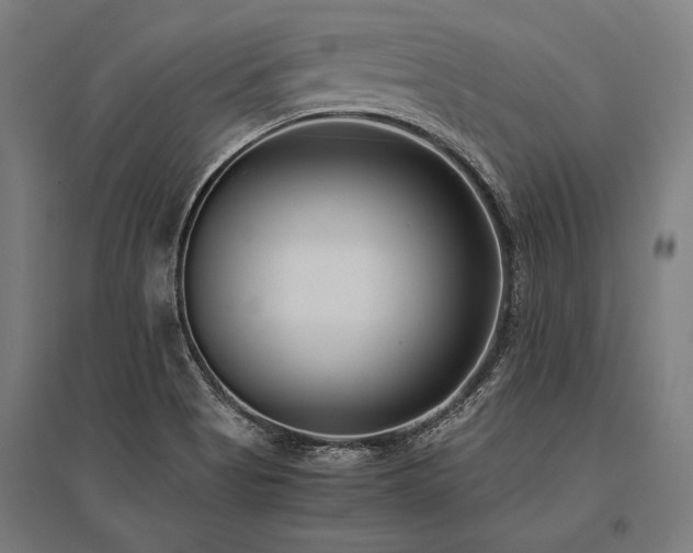 X0000096181513200801181301