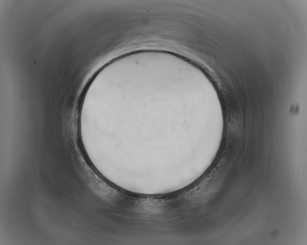 X0000096181514200801181301