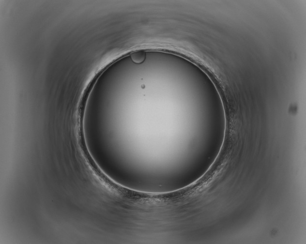 X0000096181517200801181301