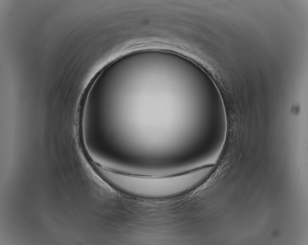 X0000096181518200801181301