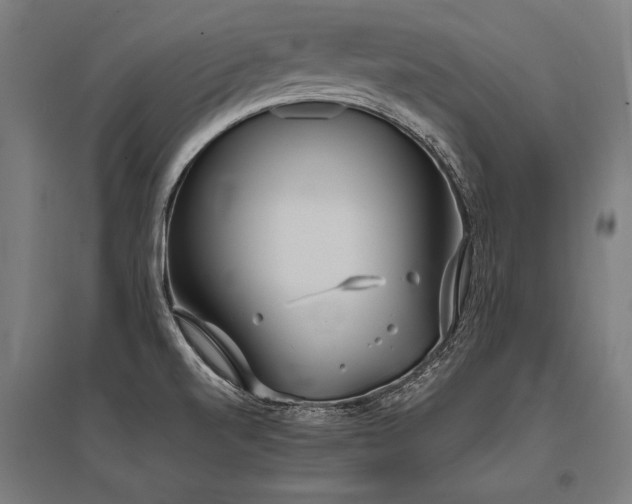 X0000096181520200801181301