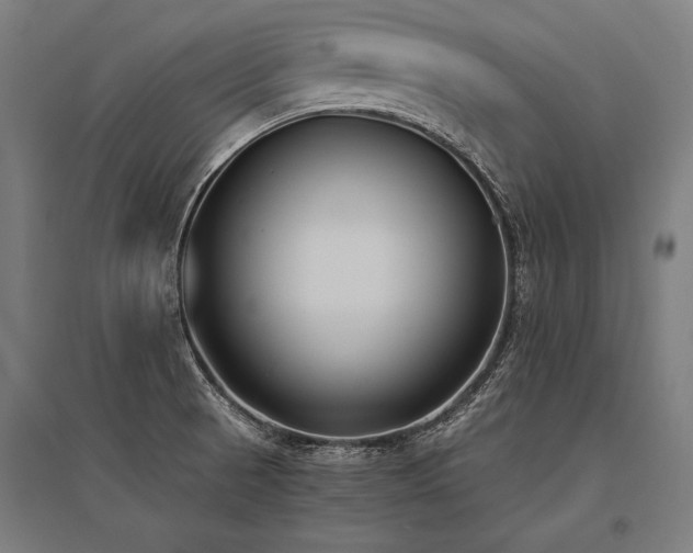 X0000096181521200801181301