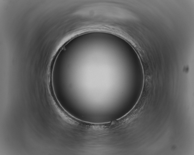 X0000096181523200801181301
