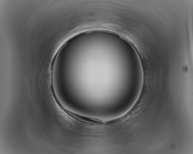 X0000096181524200801181301