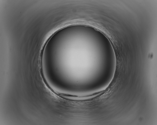X0000096181527200801181301