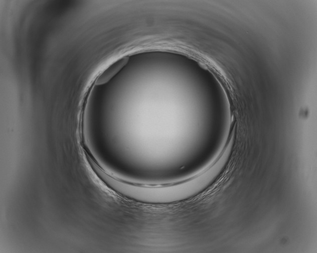 X0000096181528200801181301