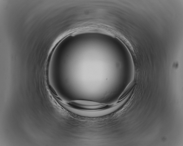 X0000096181530200801181301