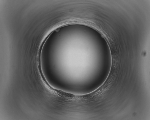X0000096181531200801181301