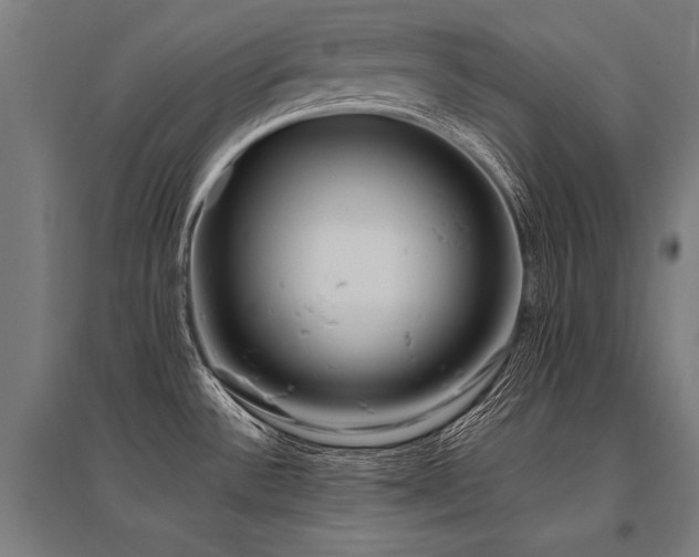 X0000096181532200801181301