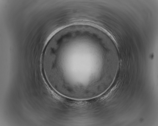 X0000096181533200801181301