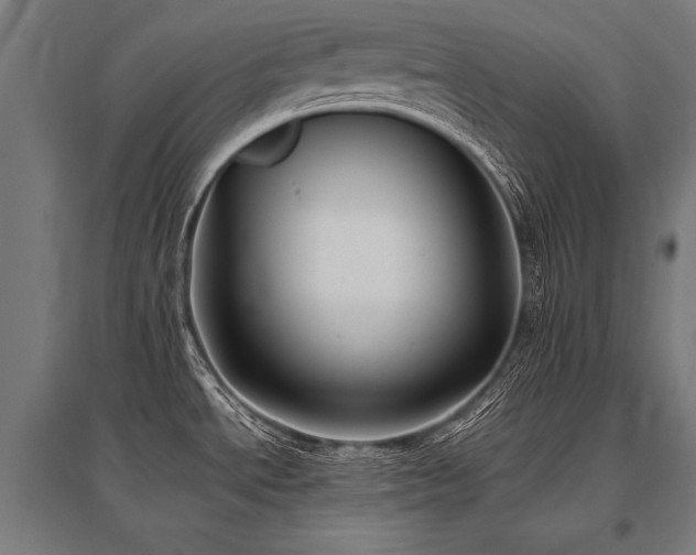 X0000096181534200801181301