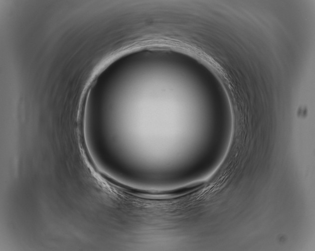X0000096181536200801181301