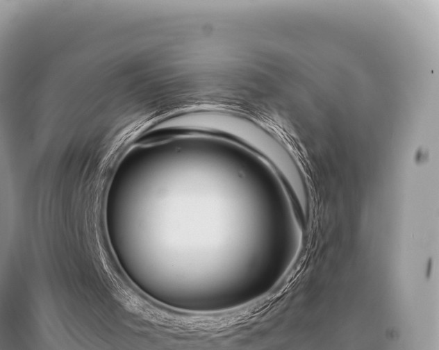 X0000096180001200801251227