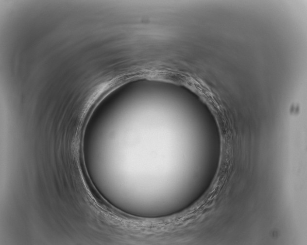 X0000096180003200801251227