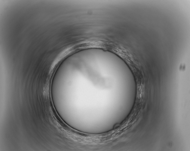X0000096180004200801251227
