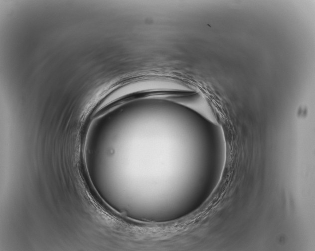 X0000096180005200801251227
